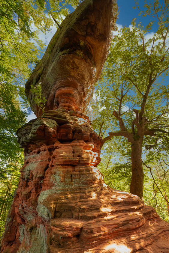 unbenannt-4477-Bearbeitet-Bearbeitet