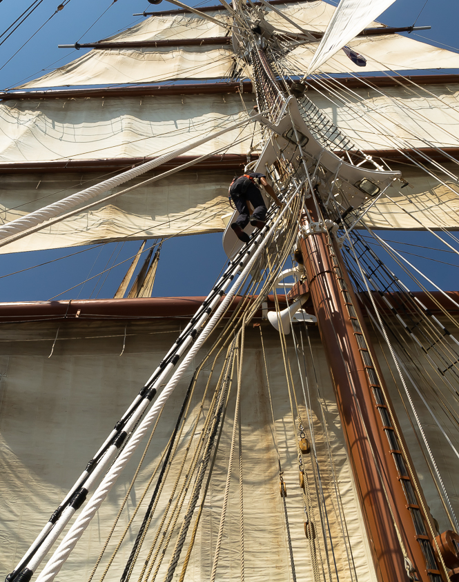 HP_wsphoto_Segeln_20180809_0020