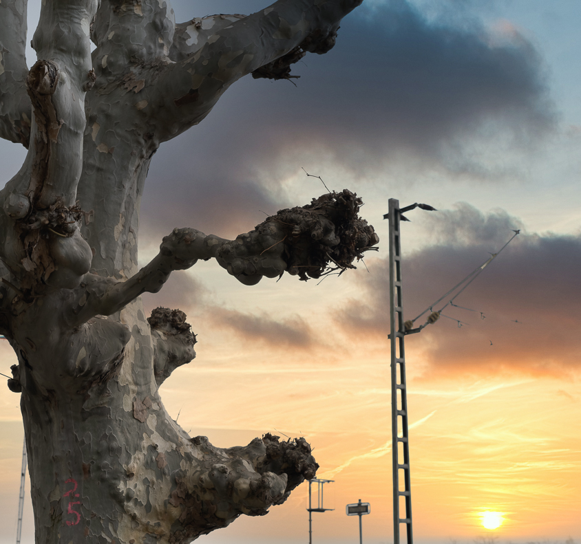 unbenannt-28-Bearbeitet